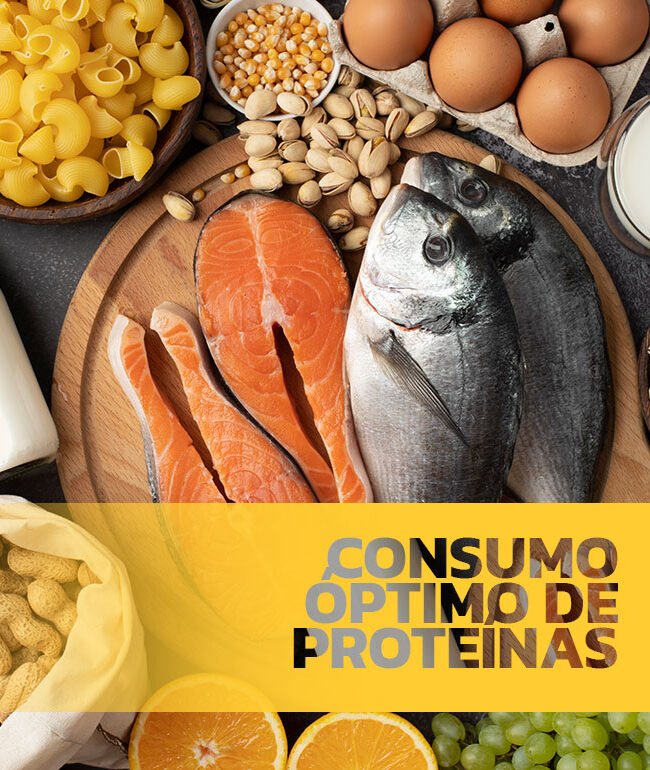 Una mesa llena de alimentos entre los que podemos encontrar: salmon, pescado, arroz, huevos, leche, frutos secos, pasta, arroz y un largo etcetera