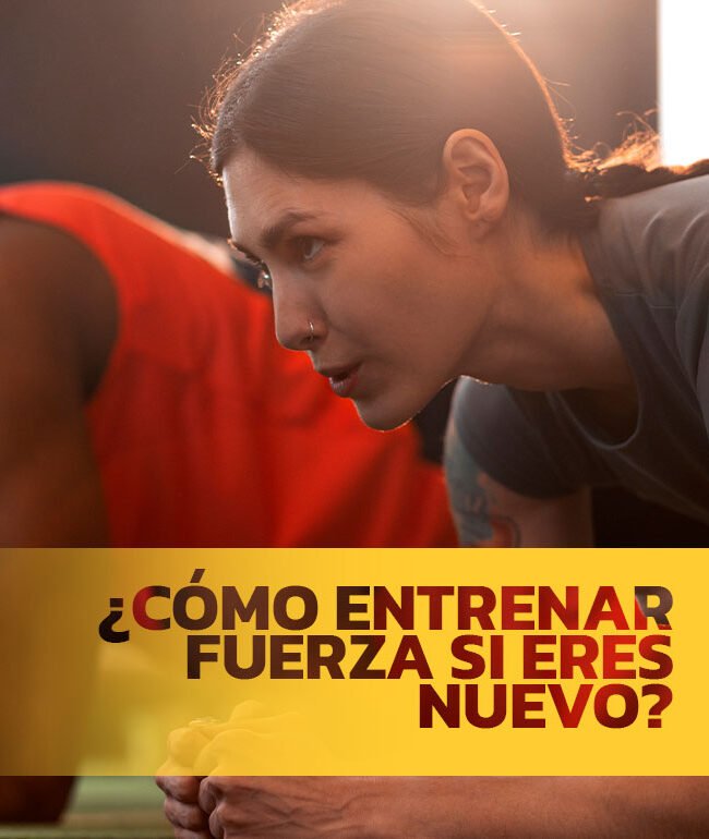 Entrenamiento de fuerza para princpiantes, portada