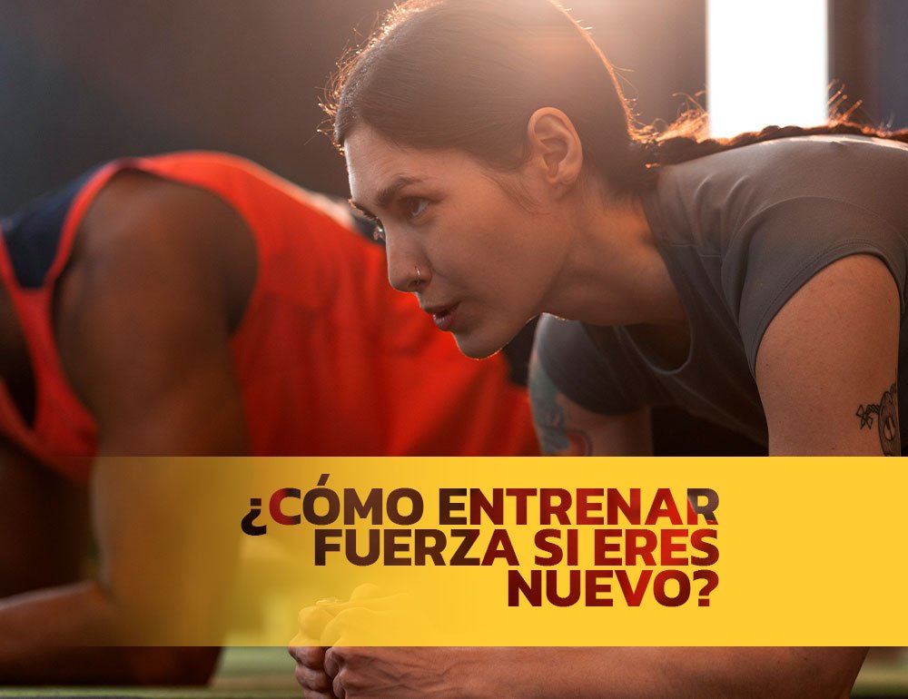 Entrenamiento de fuerza para princpiantes, portada