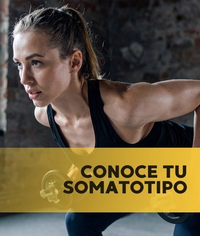 Conoce tu Somatotipo