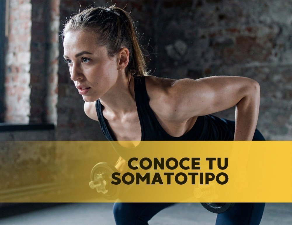Conoce tu Somatotipo