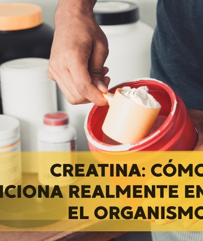 creatina
