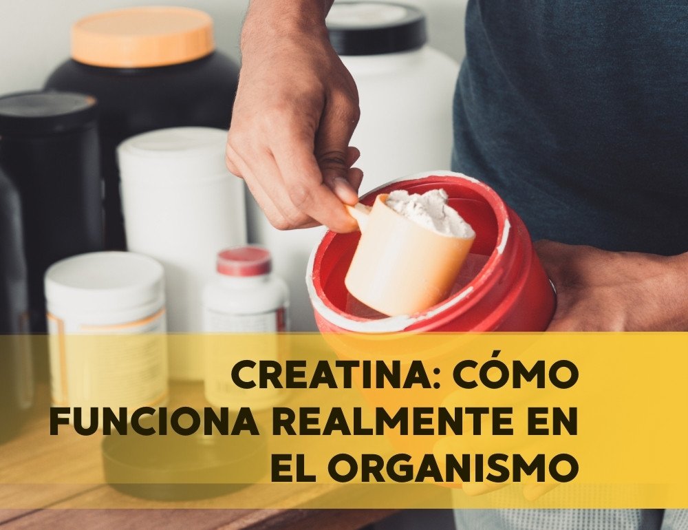 creatina
