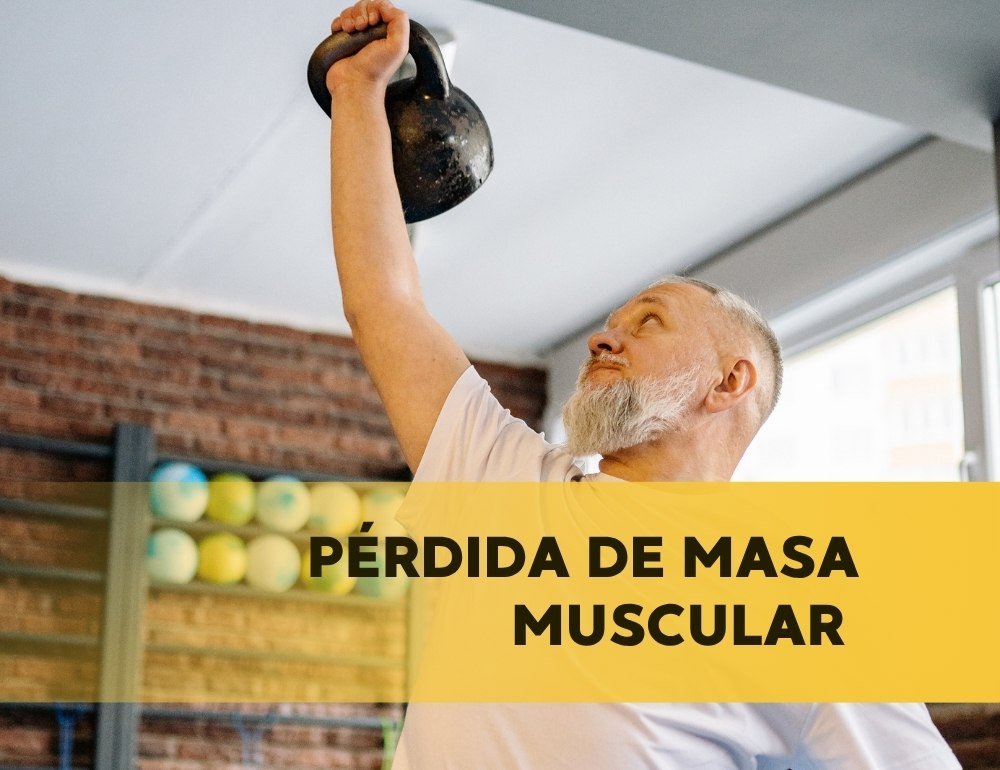 PERDER MASA MUSCULAR